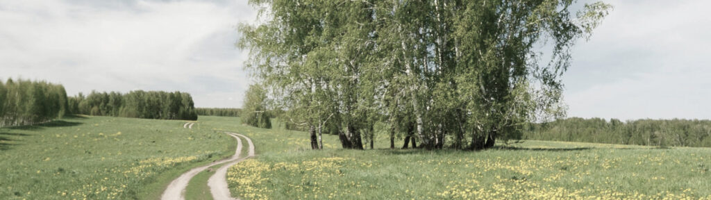 d2cf2350 1469 49a5 bc8e 21478202e972